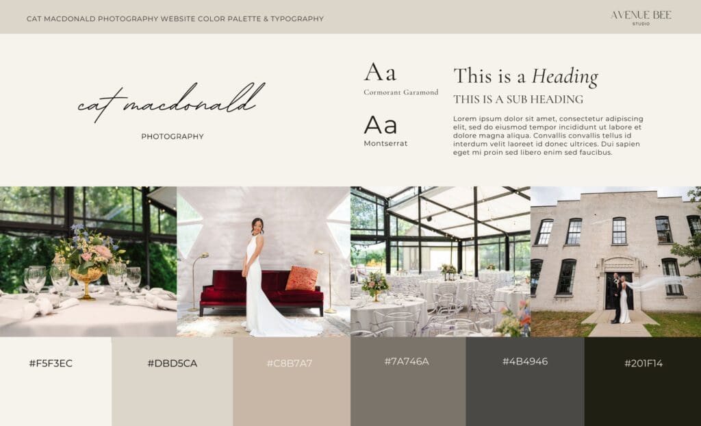 website typography and color palette